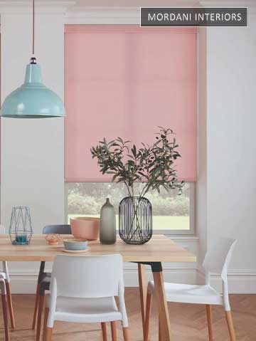 20 Amazing Features of Roller Blinds