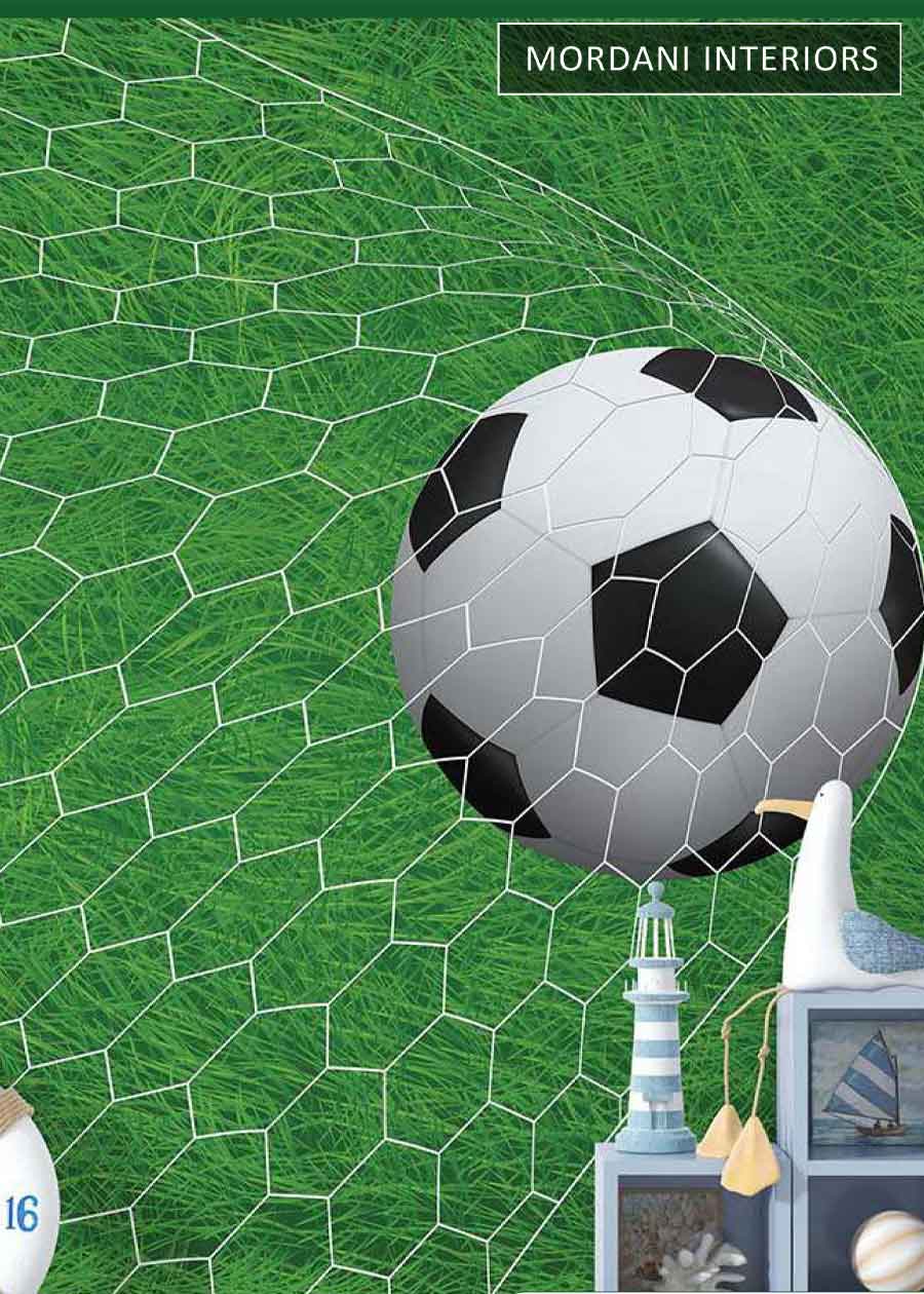 FOOTBALL PLAYING KIDS WALL MURALS _ D