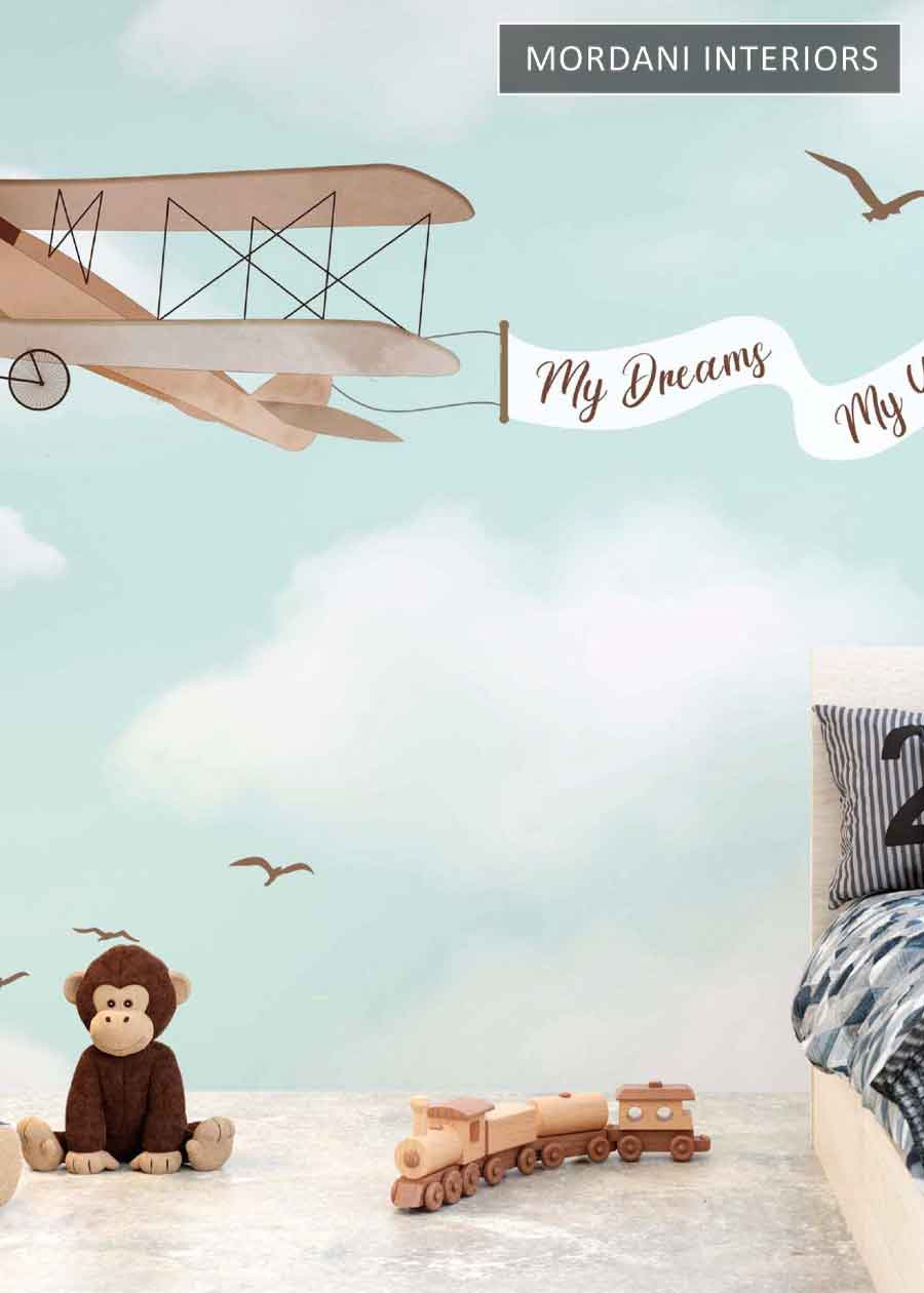 AIRPLANE WALL KIDS WALL MURALS _ D