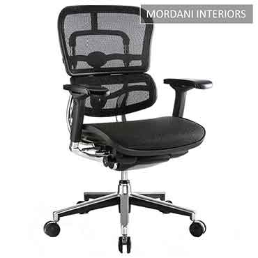 Ergohuman Mid Back Ergonomic Office Chair
