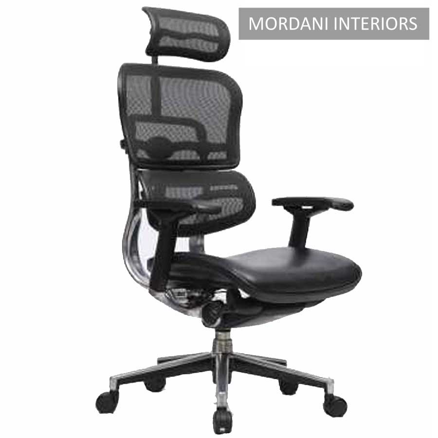 Ergohuman HB With Leather Seat