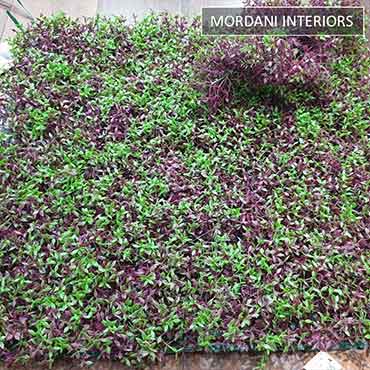 Purple & Green Leaves Tile MIGW-096-OD