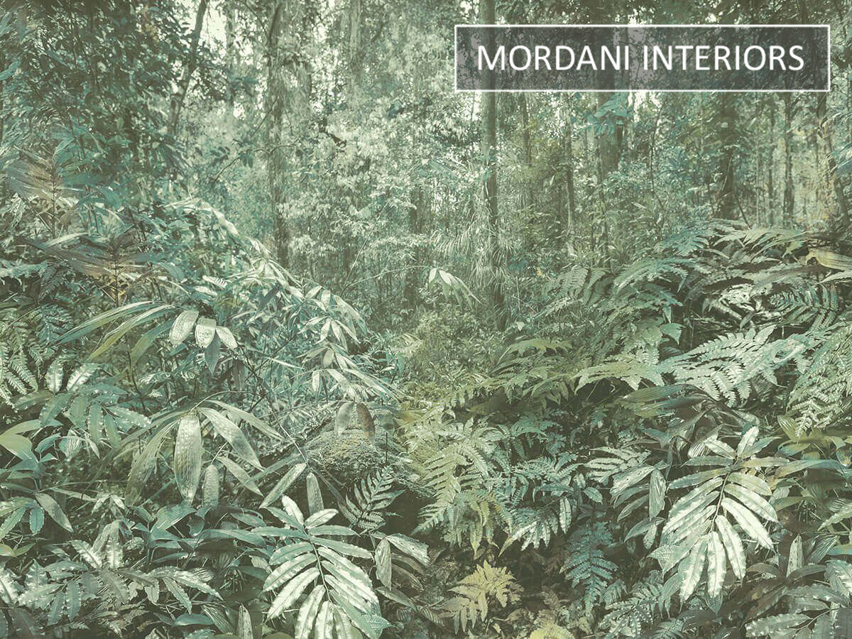 CR78100m Carl Robinson Edition 15 Wallquest