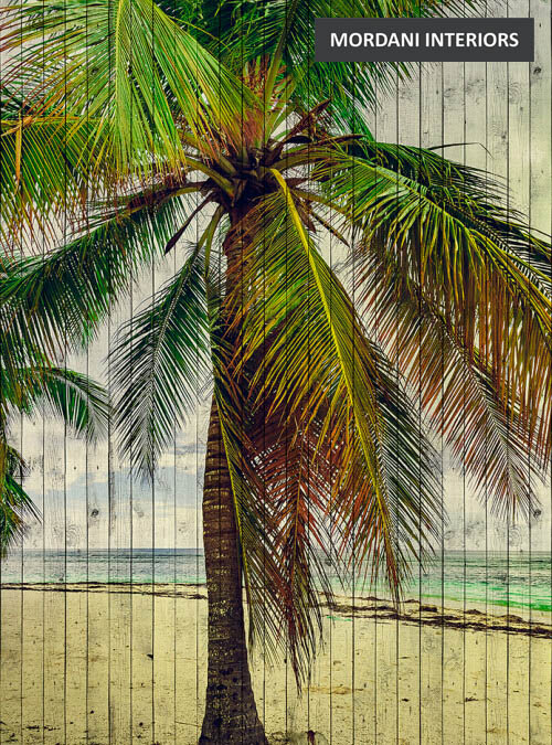 DD113682 Walls By Patel 2