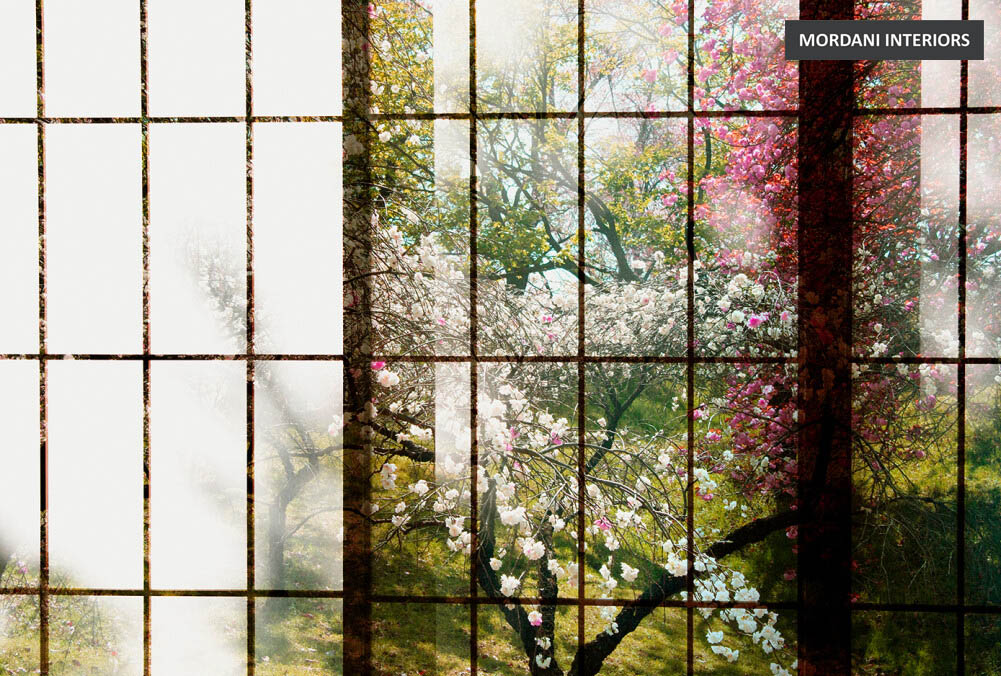 DD113727 Walls By Patel 2