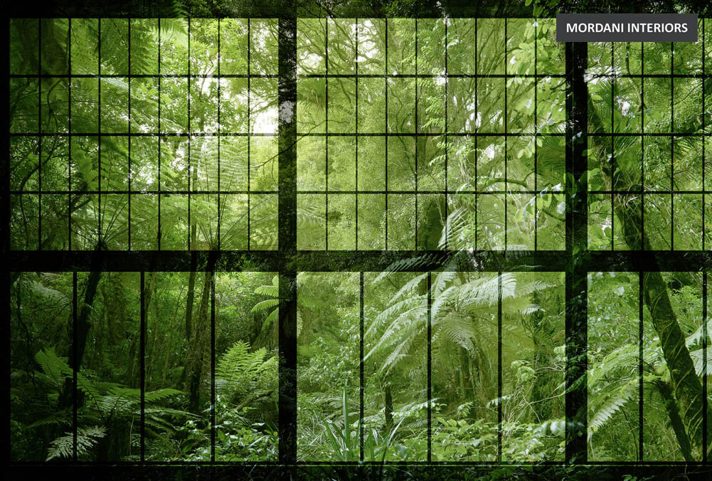 DD113742 Walls By Patel 2