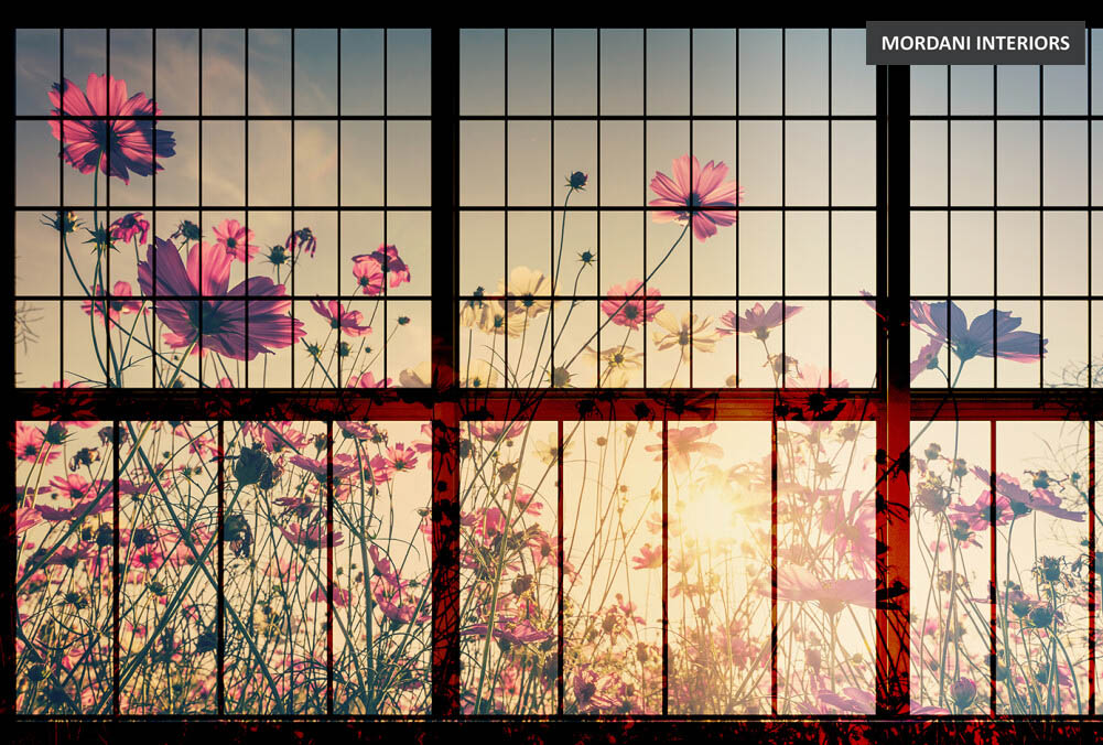 DD113747 Walls By Patel 2