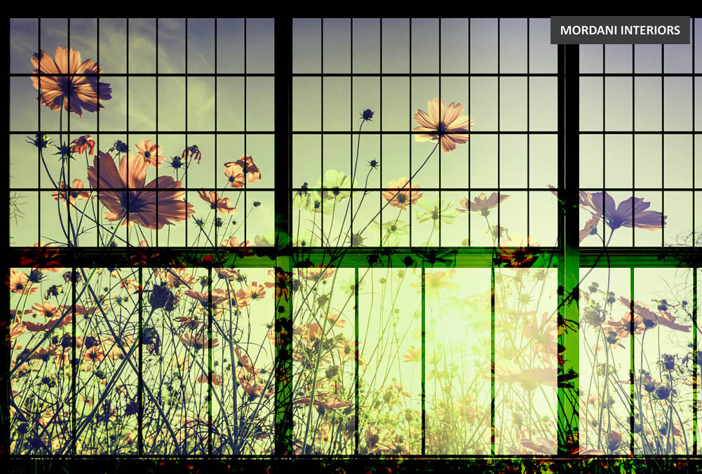 DD113752 Walls By Patel 2
