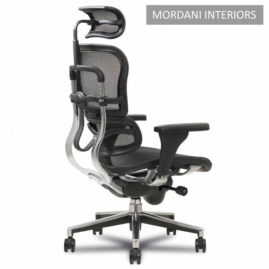 Ergohuman High Back Ergonomic Office Chair Mordani Interiors