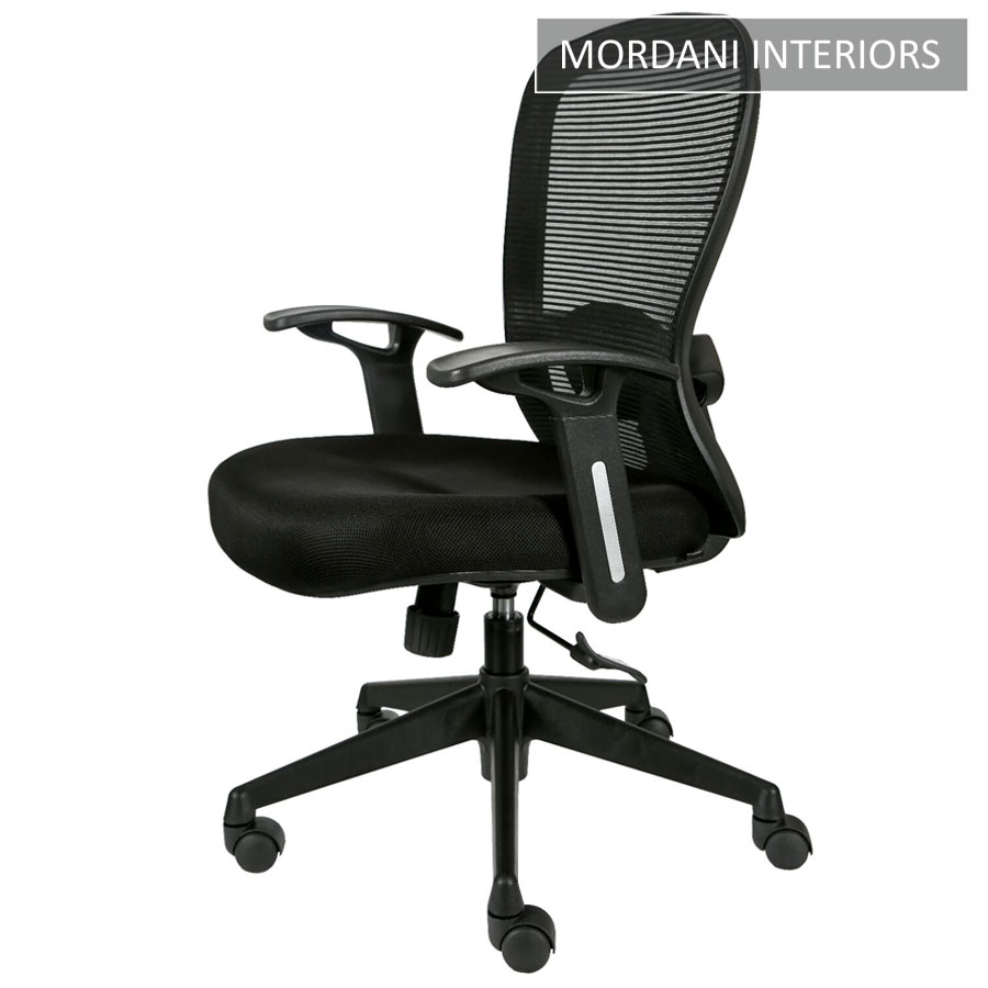 Esta Eco Mid Back Ergonomic Office Chair