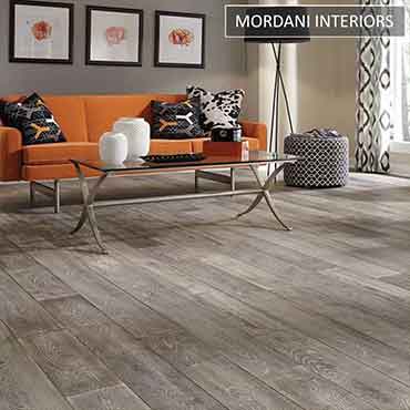 Grey Old Oak