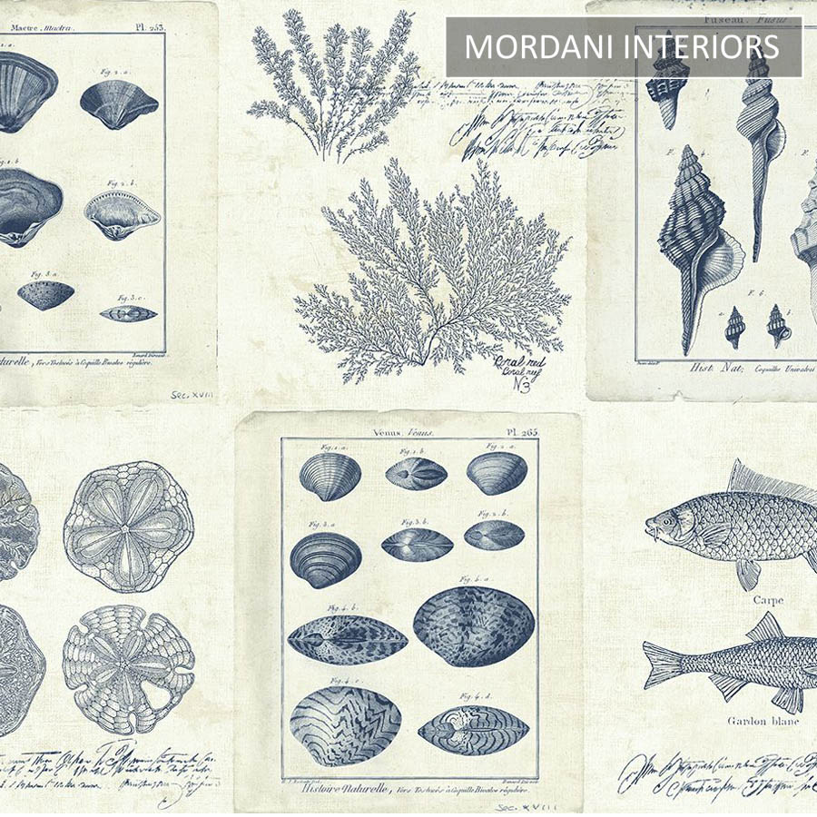 Th50902 Destination USA Pelican Prints Wallpaper